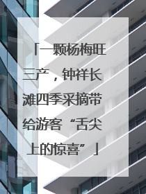 一颗杨梅旺三产，钟祥长滩四季采摘带给游客“舌尖上的惊喜”