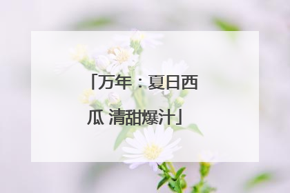 万年：夏日西瓜 清甜爆汁