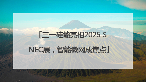 三一硅能亮相2025 SNEC展，智能微网成焦点