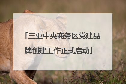 三亚中央商务区党建品牌创建工作正式启动