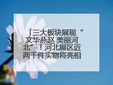 三大板块展现“文华燕赵 美丽河北”！河北展区近两千件实物将亮相深圳文博会