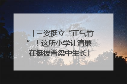 三姿挺立“正气竹”！这所小学让清廉在挺拔脊梁中生长