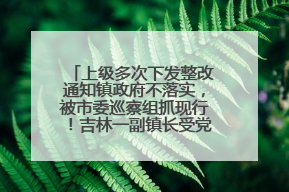 上级多次下发整改通知镇政府不落实，被市委巡察组抓现行！吉林一副镇长受党内警告处分
