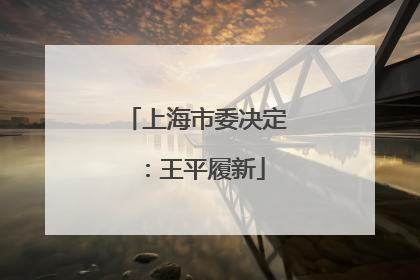 上海市委决定：王平履新