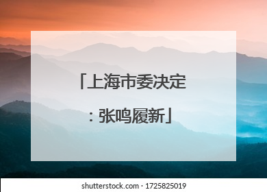 上海市委决定：张鸣履新