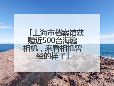 上海市档案馆获赠近500台海鸥相机，来看相机曾经的样子