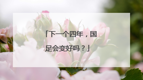 下一个四年，国足会变好吗？