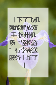 下了飞机就能解放双手 杭州机场“轻松游”行李寄送服务上新了