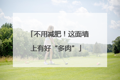 不用减肥！这面墙上有好“多肉”
