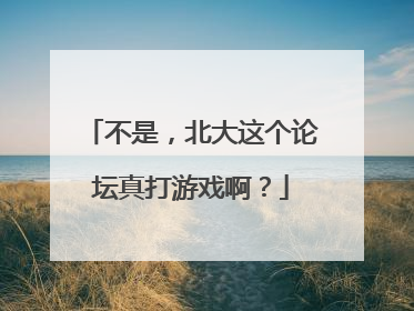 不是，北大这个论坛真打游戏啊？