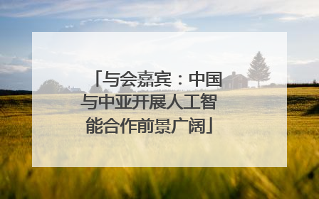与会嘉宾：中国与中亚开展人工智能合作前景广阔