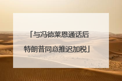 与冯德莱恩通话后 特朗普同意推迟加税