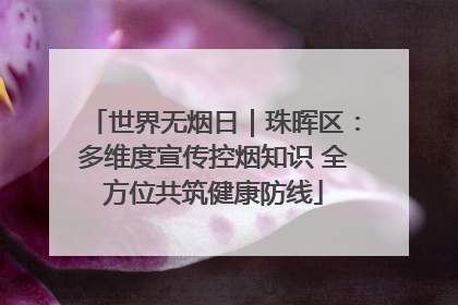 世界无烟日｜珠晖区：多维度宣传控烟知识 全方位共筑健康防线