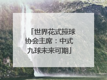 世界花式撞球协会主席：中式九球未来可期