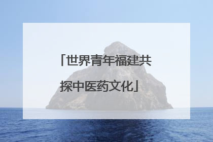 世界青年福建共探中医药文化