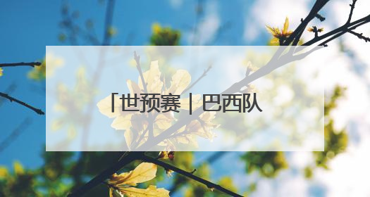 世预赛｜巴西队战平厄瓜多尔队