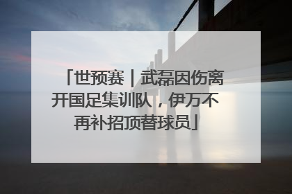 世预赛｜武磊因伤离开国足集训队，伊万不再补招顶替球员