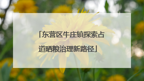 东营区牛庄镇探索占道晒粮治理新路径