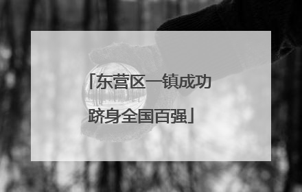 东营区一镇成功跻身全国百强