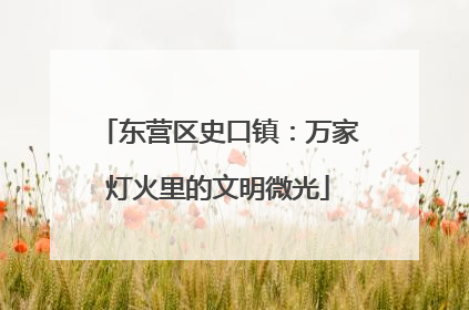 东营区史口镇：万家灯火里的文明微光