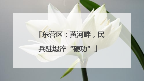 东营区：黄河畔，民兵驻堤淬“硬功”