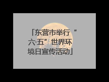 东营市举行“六·五”世界环境日宣传活动