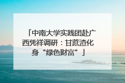 中南大学实践团赴广西凭祥调研：甘蔗渣化身“绿色财富”