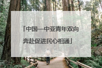 中国—中亚青年双向奔赴促进民心相通