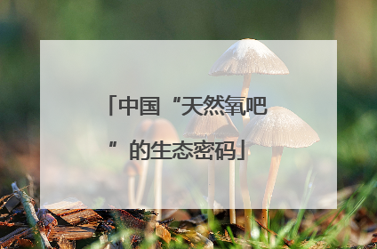 中国“天然氧吧”的生态密码