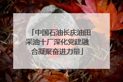 中国石油长庆油田采油十厂深化党建融合凝聚奋进力量