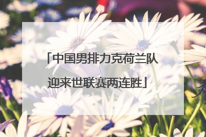 中国男排力克荷兰队 迎来世联赛两连胜