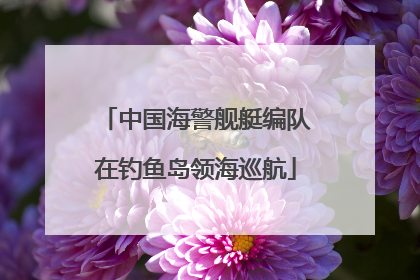 中国海警舰艇编队在钓鱼岛领海巡航