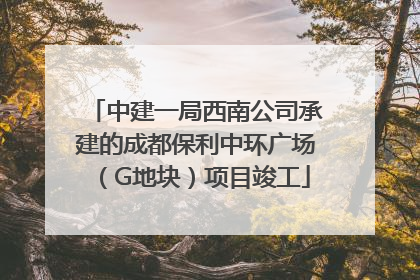 中建一局西南公司承建的成都保利中环广场（G地块）项目竣工