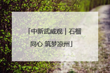 中新武威观｜石榴同心 筑梦凉州