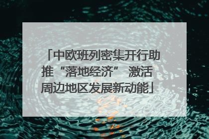 中欧班列密集开行助推“落地经济” 激活周边地区发展新动能