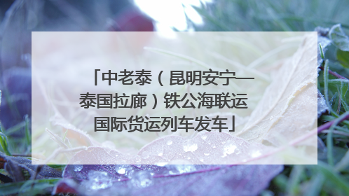 中老泰（昆明安宁—泰国拉廊）铁公海联运国际货运列车发车