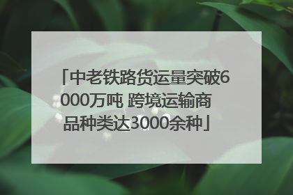 中老铁路货运量突破6000万吨 跨境运输商品种类达3000余种