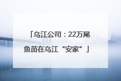 乌江公司：22万尾鱼苗在乌江“安家”