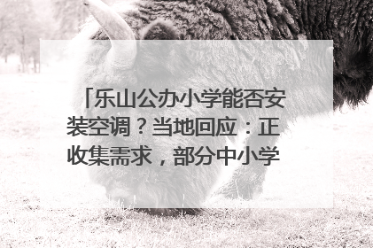 乐山公办小学能否安装空调？当地回应：正收集需求，部分中小学已启动安装｜云求助