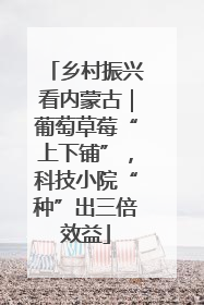 乡村振兴看内蒙古｜葡萄草莓“上下铺”，科技小院“种”出三倍效益