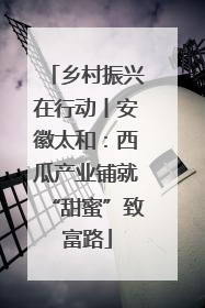 乡村振兴在行动丨安徽太和：西瓜产业铺就“甜蜜”致富路