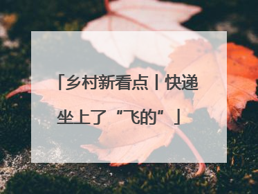 乡村新看点丨快递坐上了“飞的”