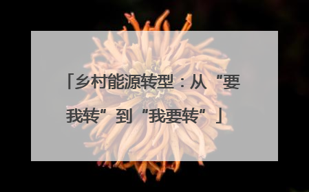 乡村能源转型：从“要我转”到“我要转”