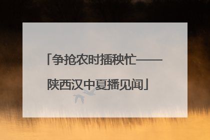 争抢农时插秧忙——陕西汉中夏播见闻