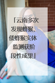 云南多次发现蜂猴、倭蜂猴实体 监测获阶段性成果
