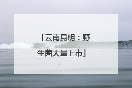 云南昆明：野生菌大量上市
