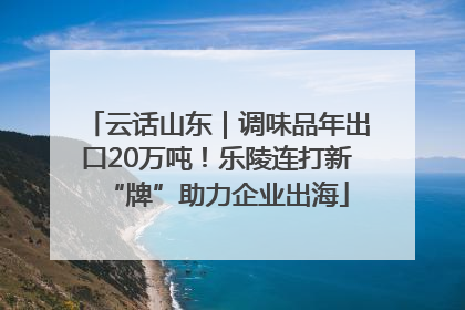 云话山东｜调味品年出口20万吨！乐陵连打新“牌”助力企业出海