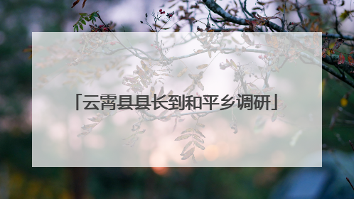 云霄县县长到和平乡调研