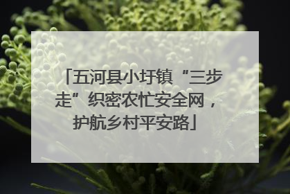 五河县小圩镇“三步走”织密农忙安全网，护航乡村平安路