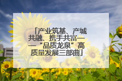 产业筑基、产城共融、携手共富——“品质龙泉”高质量发展三部曲